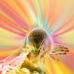 tableau de vision toulouse