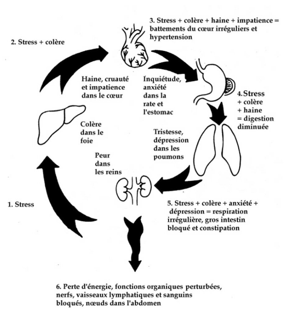 Le cycle du Chi Nei tsang à Peyssies avec Alexia Authenac