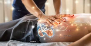 chi-nei-tsang-massage-abdominal-schema-energetique